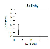 Graph: Salinity levels for Soil Pit Site MP 16