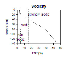 Graph: Sodicity levels for Soil Pit Site MP 16