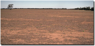 Photo: Site MP22 Soil Landscape
