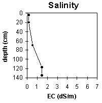 Graph: Site MP22 Salinity levels