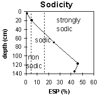 Graph: Site MP22 Sodicity levels