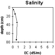Graph: Site MP25 Salinity levels