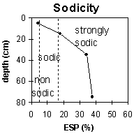 Graph: Site MP25 Sodicity levels