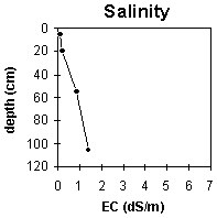 Graph:  Site MP27 salinity levels