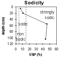 Graph: Site MP27 sodicity levels