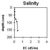 Graph: Salinity levels Site MP31