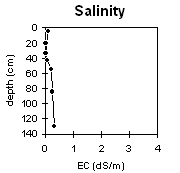Graph: Salinity levels in Site MP32