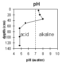 Graph: pH levels in Site MP 33