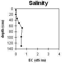 Graph: Salinity levels in Site MP33