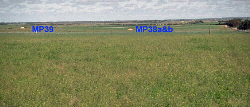 Image:  MP38 and MP39 landscape