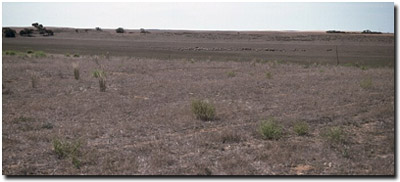 Photo: Soil Pit Site MP3 Landscape