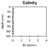 Graph: Salinity levels in Soil Pit MP 3