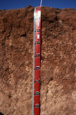 Photo: Soil Pit Site MP4 Profile