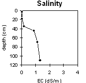 Graph: Salinity leves in Site MP5