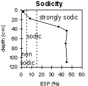 Graph: Sodicity levels in Site MP5