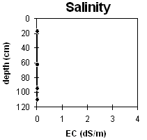 Graph: Salinity levels in Site MP6