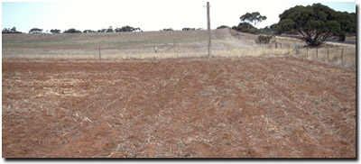 Photo: Soil Pit Site MP9 Landscape