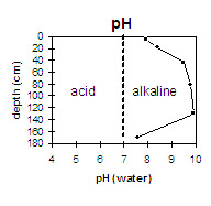 Graph: pH levels in Site MP9