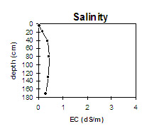 Graph: Salinity levels in Site MP9