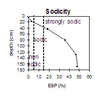 Graph: Sodicity levels in Site MP9
