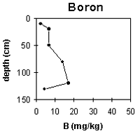Graph: Site ORZC10 Boron Levels