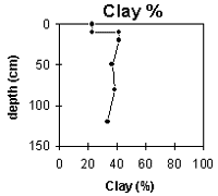 Graph: Site ORZC10 Clay%