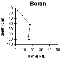 Graph: Site ORZC13 Boron levels