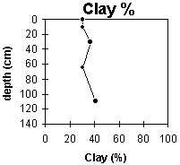 Graph: Site ORZC13 Clay%