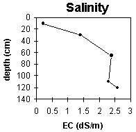 Graph: Site ORZC13 Salinity levels