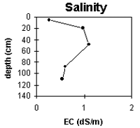 Graph: Site ORZC1 salinity levels
