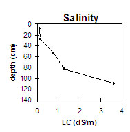 MP8 salinity