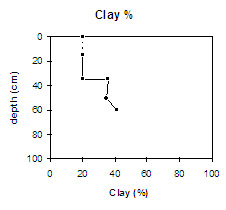 Diagram: Clay% in Site NE33