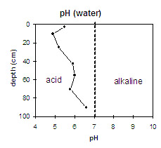 Diagram: pH in Site NE33