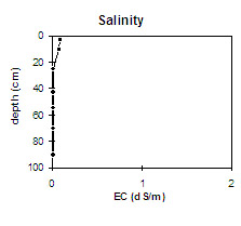 Diagram: Salinity in Site NE33
