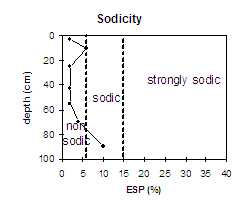 Diagram: Sodicity in Site NE33