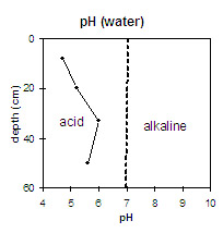 Graph: pH in Site NE34