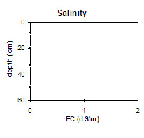 Graph: Salinity in Site NE34