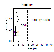 Graph: Sodicity in Site NE34