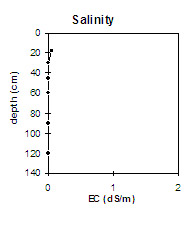 Graph: Salinity in Site NE36