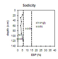 Graph: Sodicity in Site NE36