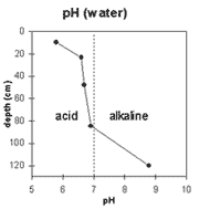 Graph: pH in Site NE37a