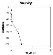 Graph: Salinity in Site NE37a