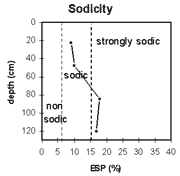 Graph: Sodicity in Site NE37a