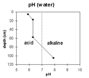 Graph: pH in Site NE37b