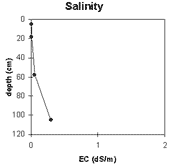 Graph: Salinity in Site NE37b