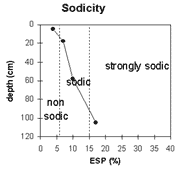 Graph: Sodicity in Site NE37b
