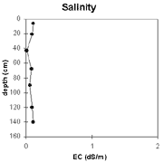 Graph: Salinity in Site NE38
