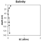Graph: Salinity in Site NE39
