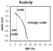 Graph: Sodicity in Site NE39