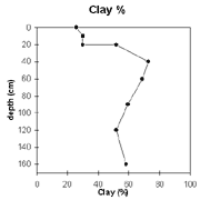 GRAPH: Clay % of soil site NE44